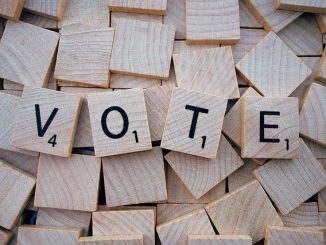 Le vote (sourece : Wokandapix, pixabay, 2016)