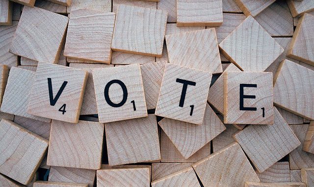 Le vote (sourece : Wokandapix, pixabay, 2016)